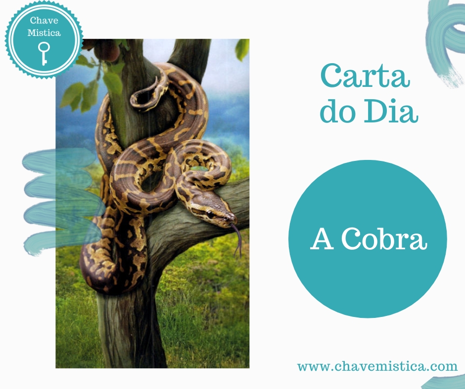 Carta Tarot para 13-09-2024 A Cobra O universo presenteia-te hoje com a possibilidade de operares mudanças transformativas na tua vida. Ao fazeres isso podes curar feridas que teimavam em cicatrizar ou sararem. Ao mesmo tempo a cobra também alerta para um dia onde pessoas venenosas podem querer se aproveitar das tuas fragilidades. Fica atento. Tarólogo Gustavo www.chavemistica.com