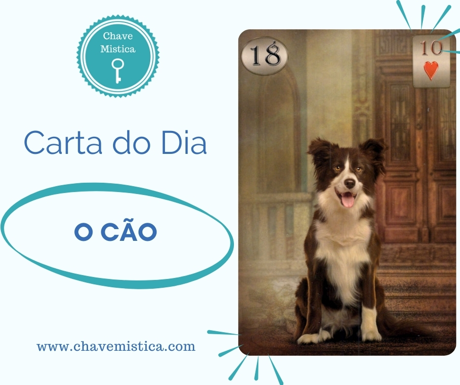 Carta Tarot para 11-02-2025 O Cão Hoje é dia de estar perto de pessoas amigas. Muito companheirismo na relação a dois. Muito entrosamento, cumplicidade e companheirismo a dois. Taróloga Rebeca www.chavemistica.com